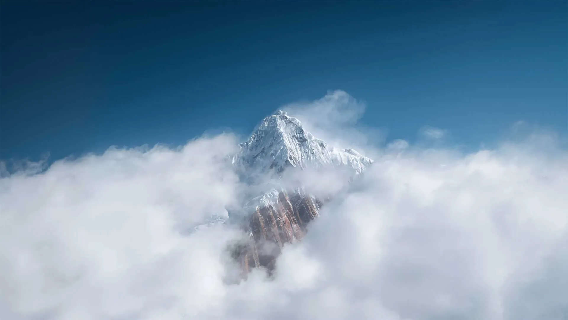 qynkoaklny0.webp