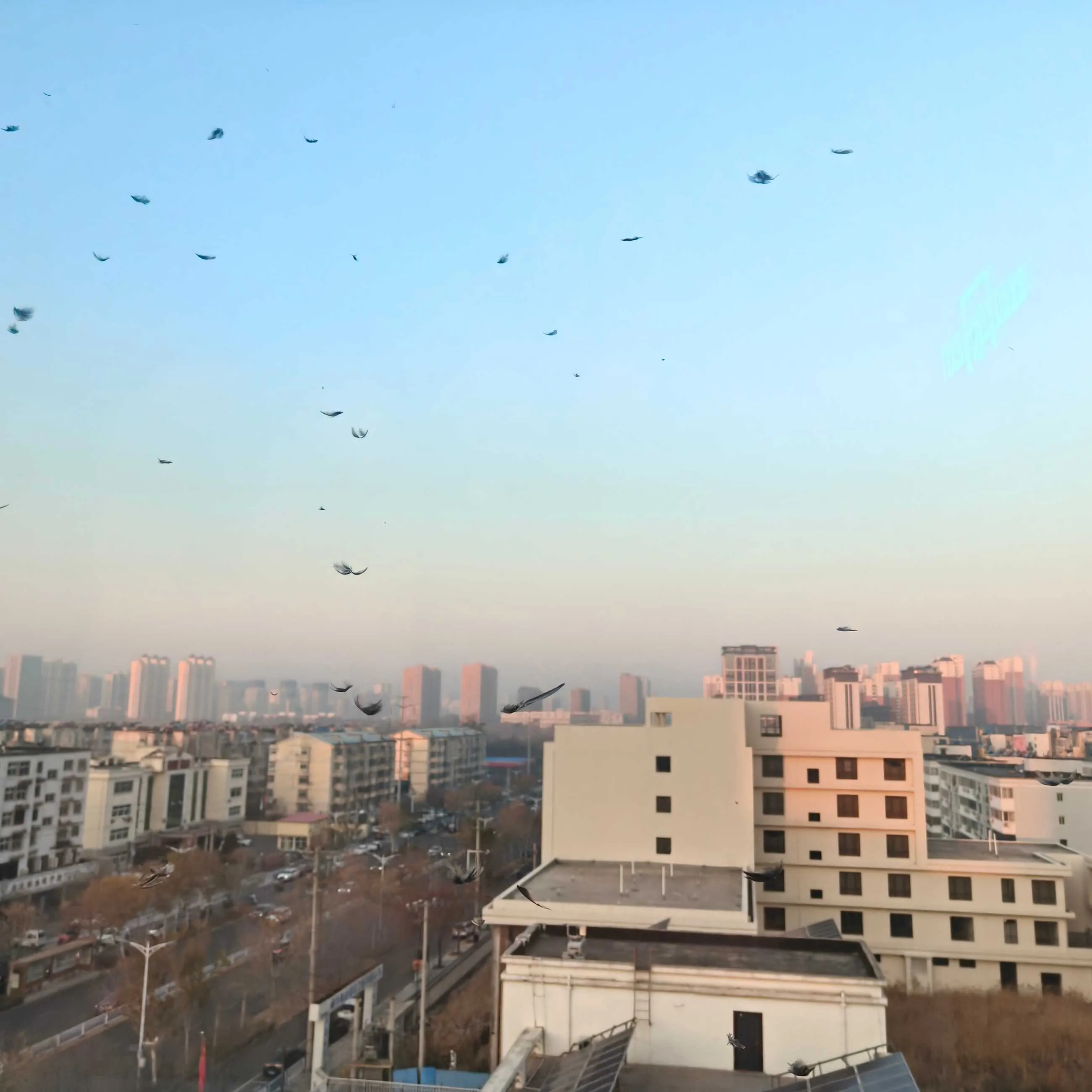 1000011787.webp