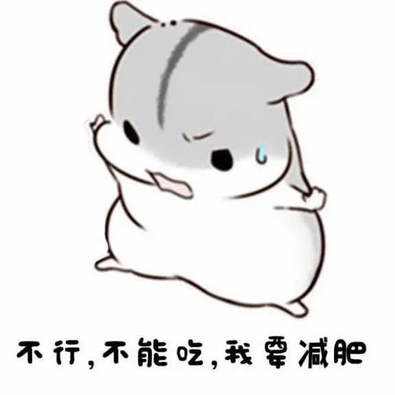 IMG_20241217_204612.webp