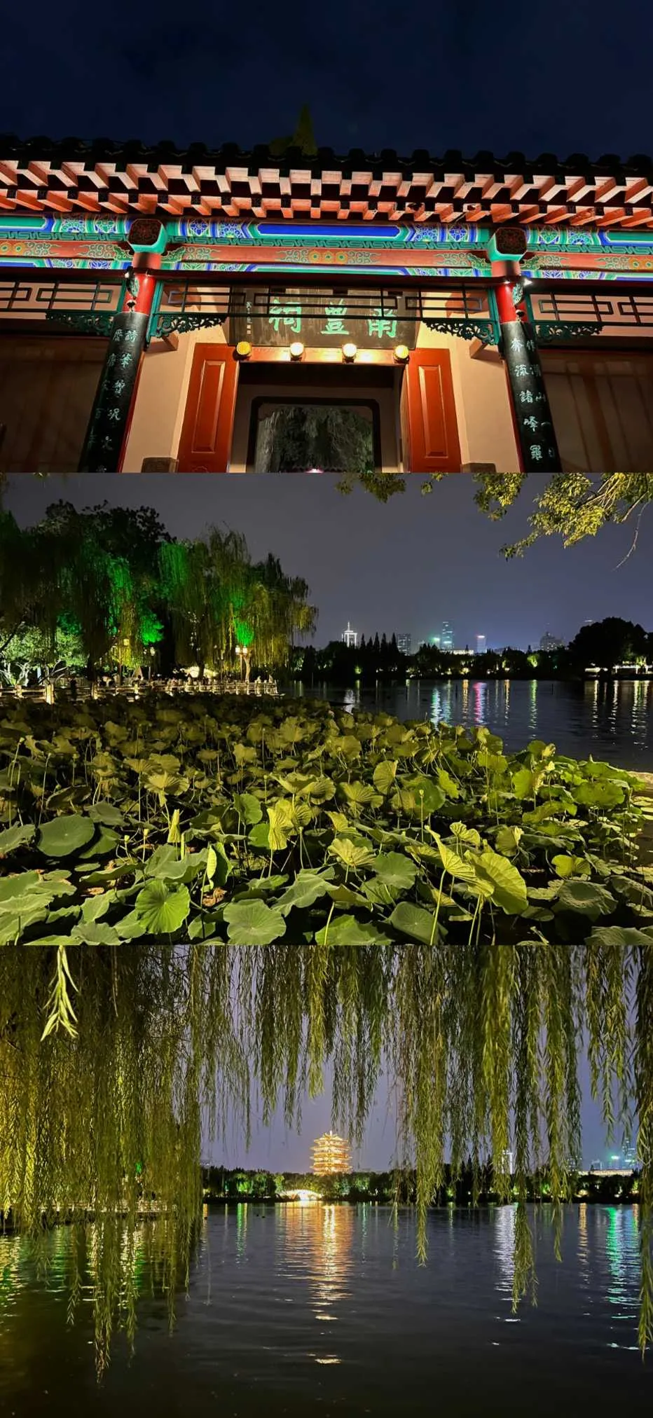 IMG_20241221_092052.webp