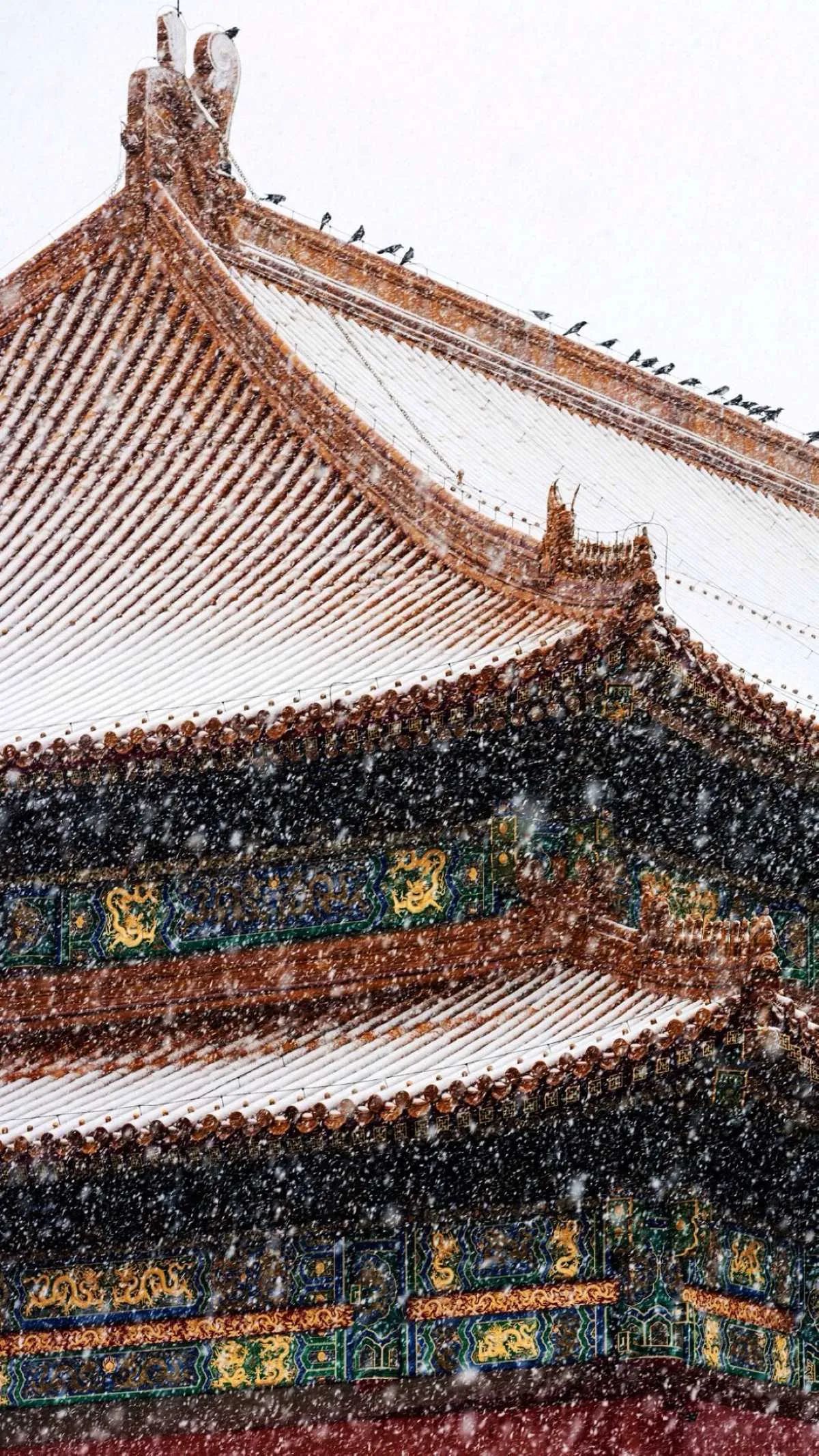 搜图神器_1735204603437.webp