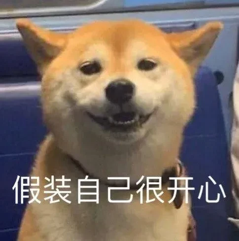 1736506682443_92.webp