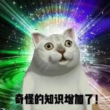 1000007310.webp