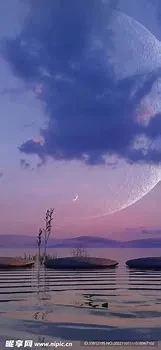 10364.webp