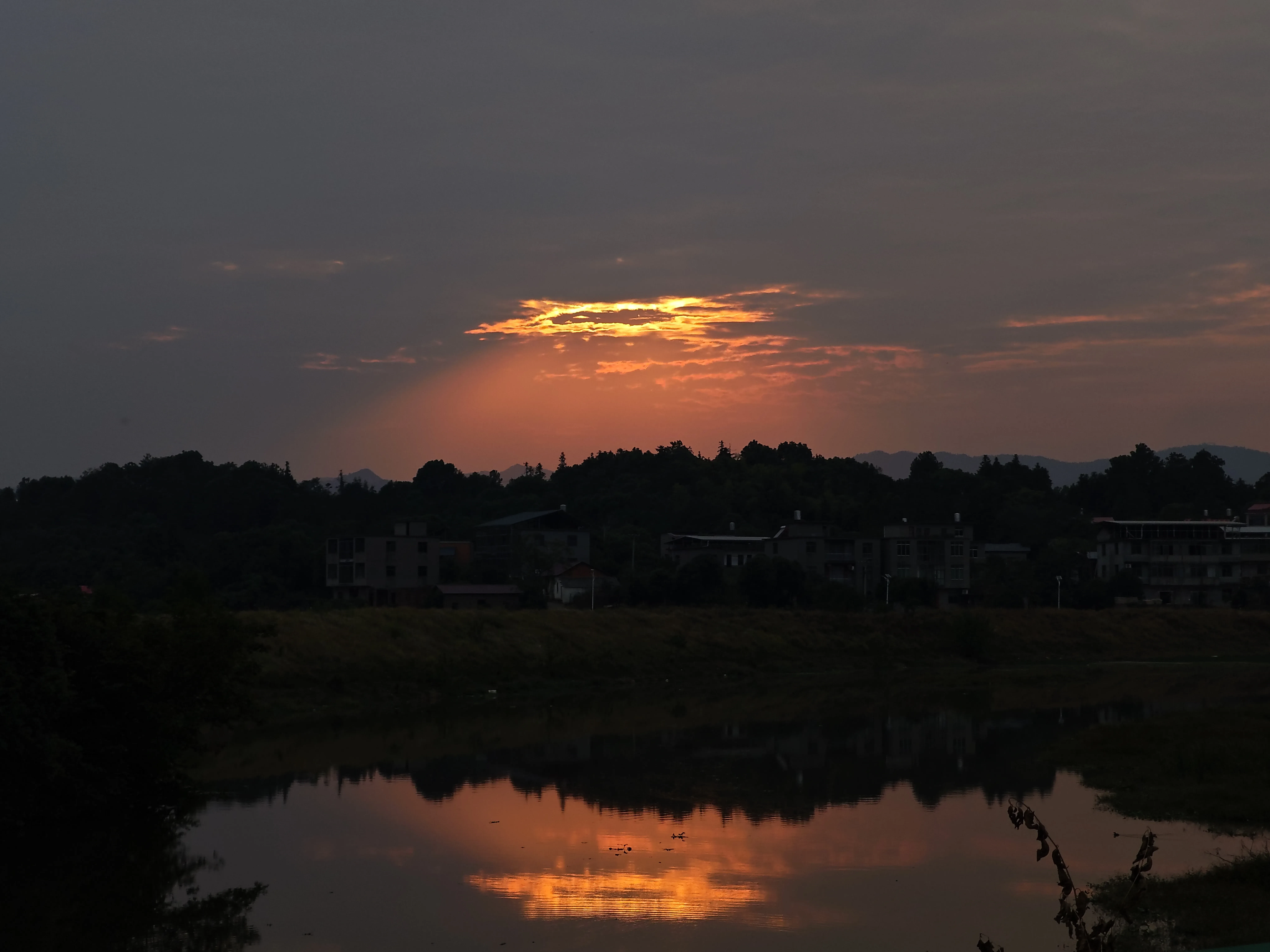 IMG_20241013_171303.webp