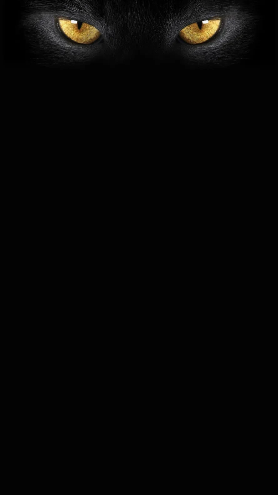 3.webp