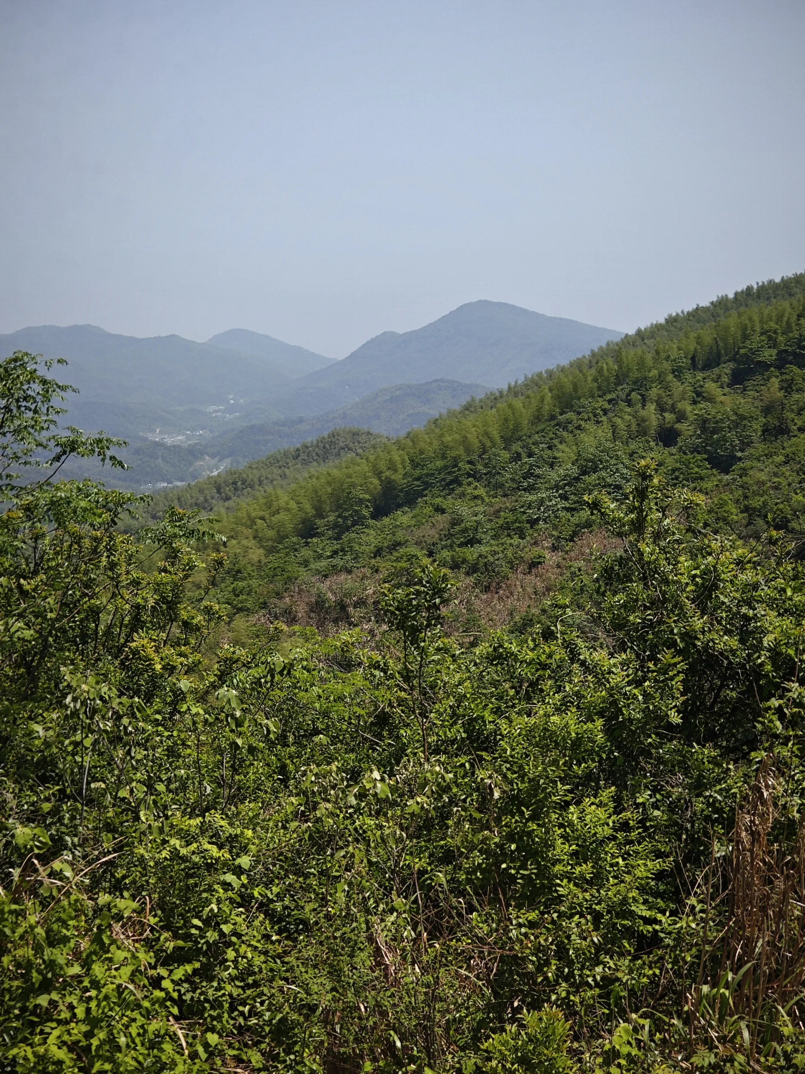 1000009016.webp