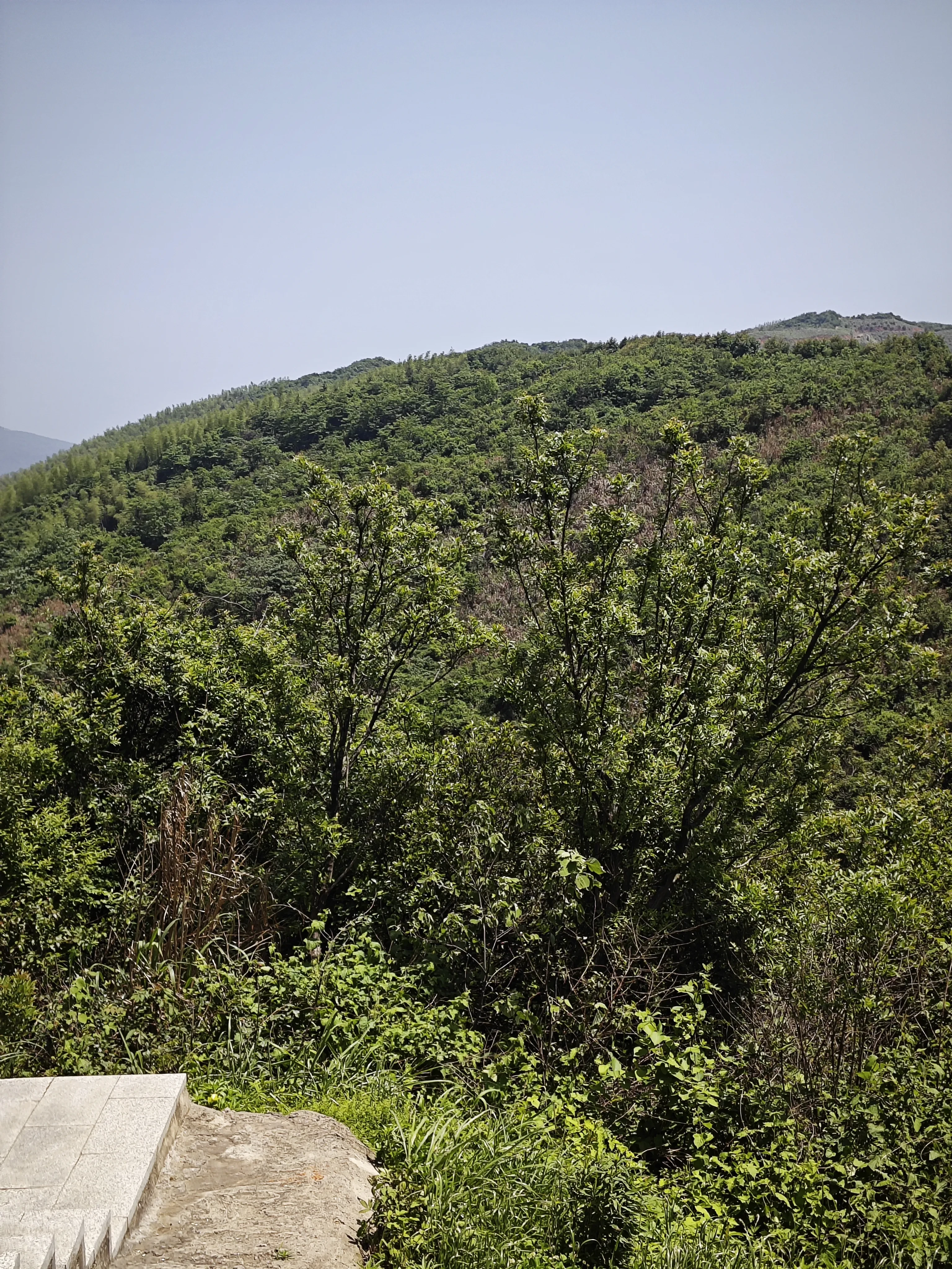 1000009017.webp
