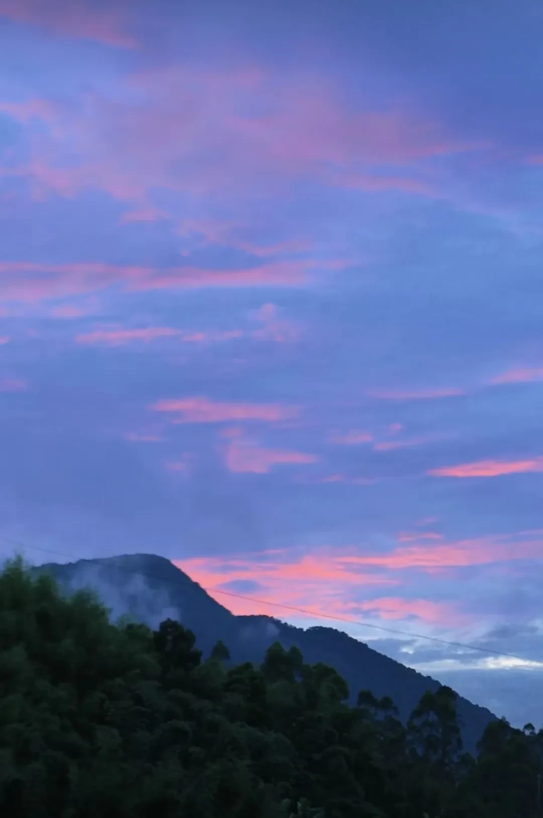 Screenshot_20250515_011643.webp