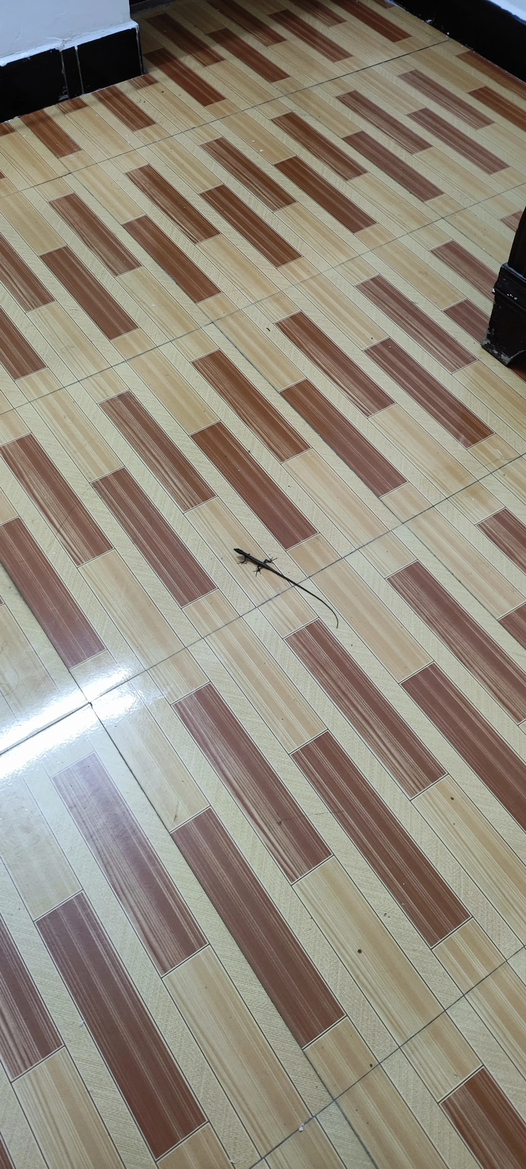 1000195184.webp