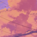 WSCI